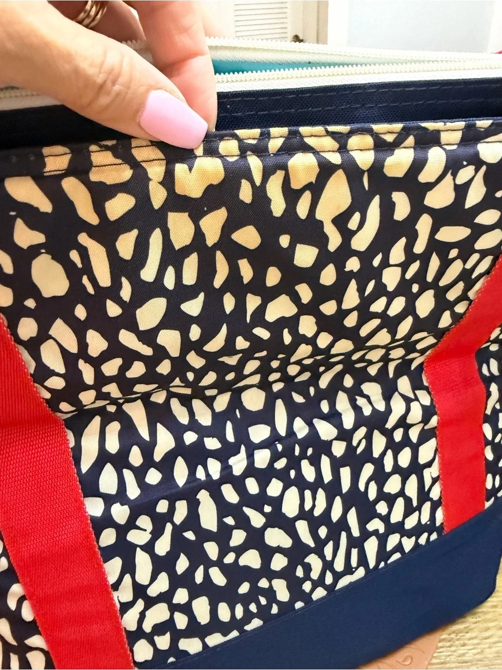 Arctic Zone Insulated Tote Bag